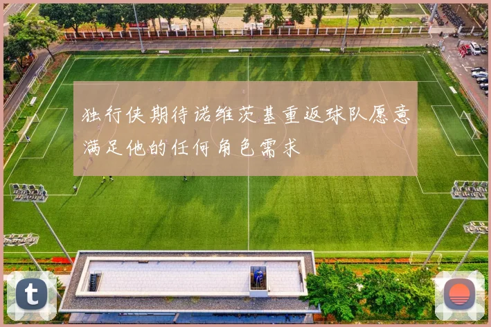 独行侠期待诺维茨基重返球队愿意满足他的任何角色需求